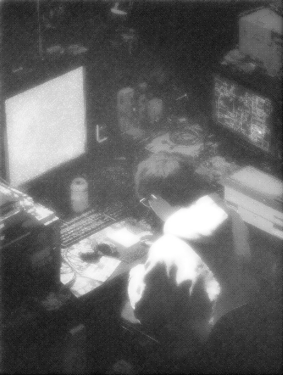 Illustration en dither noir et blanc représentant l’univers visuel de Chambre 2222